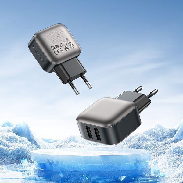 Сетевое зарядное устройство BOROFONE BAS51A Absolute dual-port charger Black 6941991116100 фото