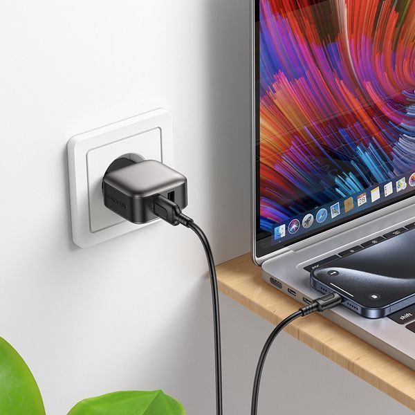 Сетевое зарядное устройство BOROFONE BAS51A Absolute dual-port charger Black 6941991116100 фото