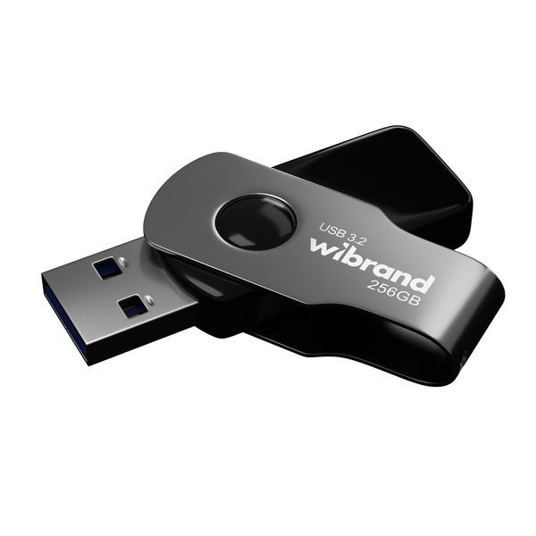 Флеш-накопитель Wibrand USB 3.2 Gen1 Lizard 256GB Black WI3.2/LI256P9B фото