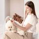 Набір для догляду за тваринами PETKIT Pet Grooming Kit (LM4) 656-01116 фото 4