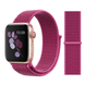 Нейлоновый ремешок для Apple Watch 38/40/41 mm Dragon Fruit 212-00114 фото 1