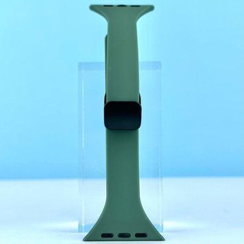 Силіконовий ремінець Thin Soft Narrow Magnetic Clasp для Apple Watch 38/40/41mm Pine Green 212-02847 фото