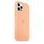 Силиконовый чехол для iPhone 12 Pro Max Flamingo 208-00411 фото