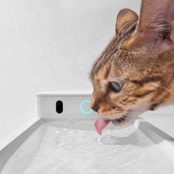 Поилка CATLINK AI Water Fountain - Wireless 656-00598 фото