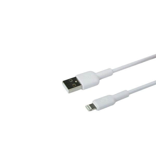 Зарядное устройство Ridea RW-11311 и кабель Lightning 2.1 A Белый 209-00127 фото