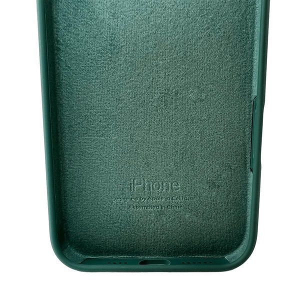 Силиконовый чехол для iPhone 16 Pro Pine Green 666-01213 фото