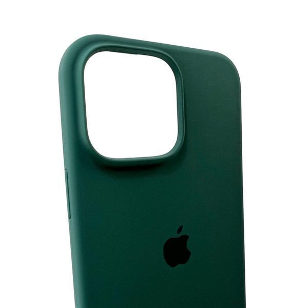 Силиконовый чехол для iPhone 16 Pro Pine Green 666-01213 фото