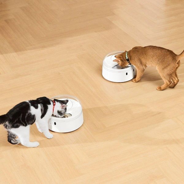 Смарт кормушка CATLINK RFID Pet Feeder - Standard 656-00599 фото