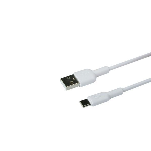 Зарядное устройство Ridea RW-11211 Type-C 2.1A Белый 209-00129 фото