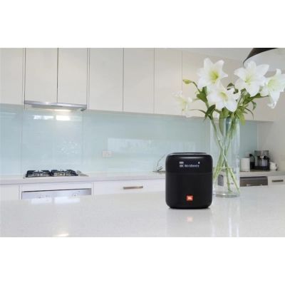 Акустическая система JBL Tuner XL FM Black (JBLTUNERXLBLKEUNA) JBLTUNERXLBLKEUNA фото