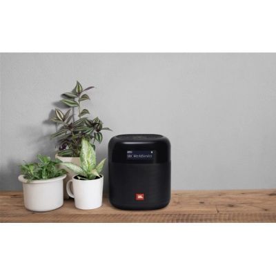 Акустическая система JBL Tuner XL FM Black (JBLTUNERXLBLKEUNA) JBLTUNERXLBLKEUNA фото