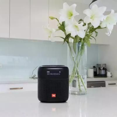 Акустична система JBL Tuner XL Black (JBLTUNERXLBLKEU) JBLTUNERXLBLKEU фото
