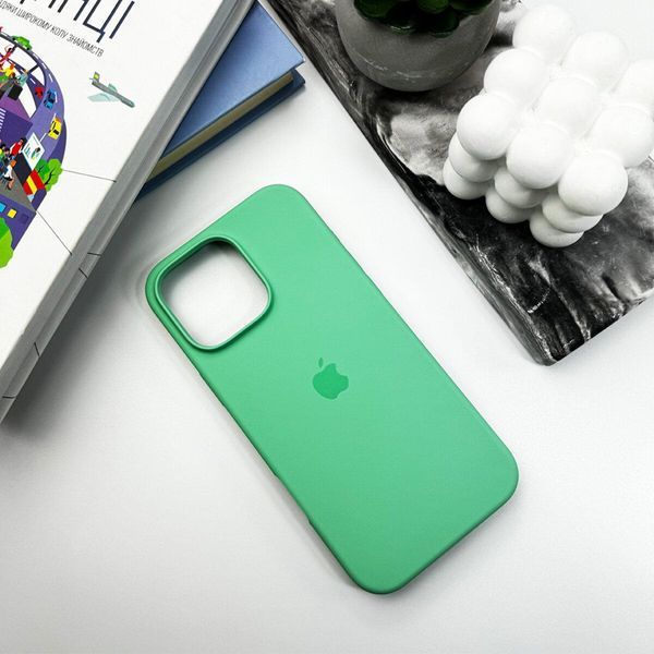 Силиконовый чехол для iPhone 16 Pro Spearmint 666-01224 фото