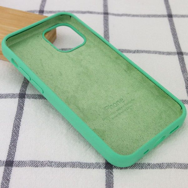 Силиконовый чехол для iPhone 15 Pro Max Spearmint 666-01118 фото