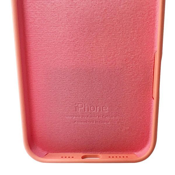 Силіконовий чохол для iPhone 16 Pro Max Grapefruit 666-01275 фото