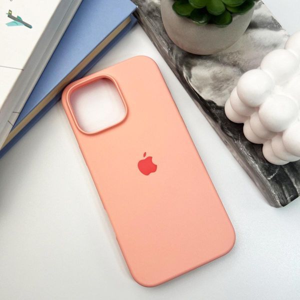 Силіконовий чохол для iPhone 16 Pro Max Grapefruit 666-01275 фото