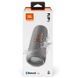 Акустическая система JBL Flip 6 Grey (JBLFLIP6GREY) JBLFLIP6GREY фото 9
